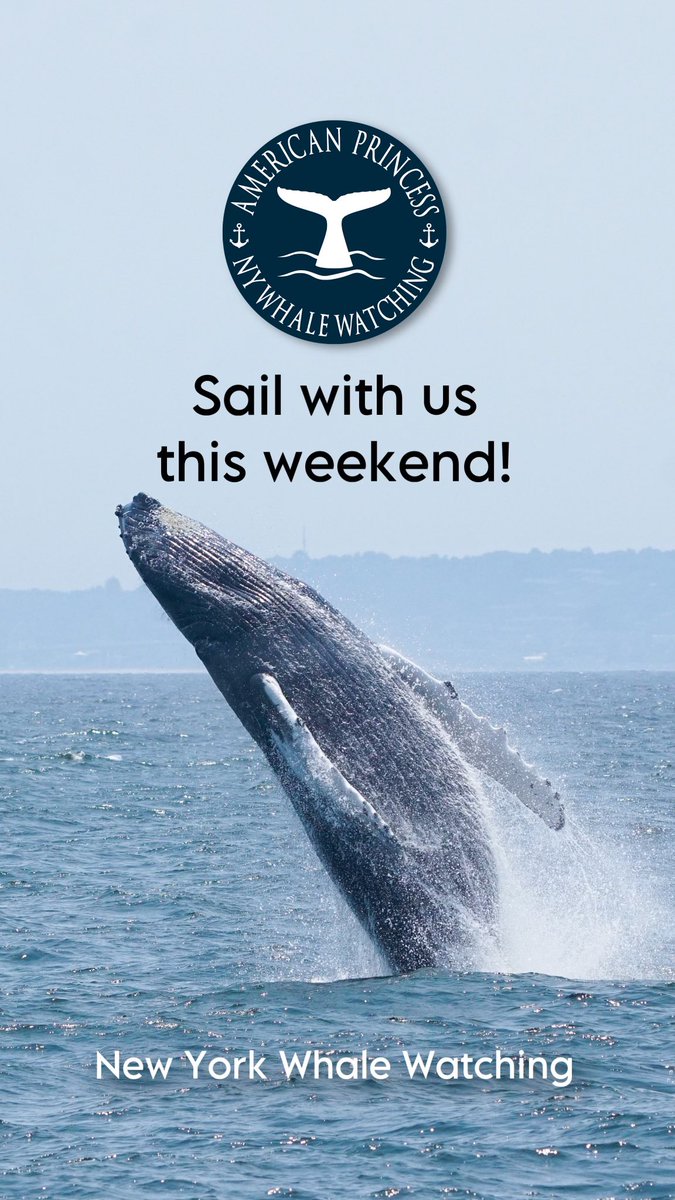 American Princess Cruises tweet media