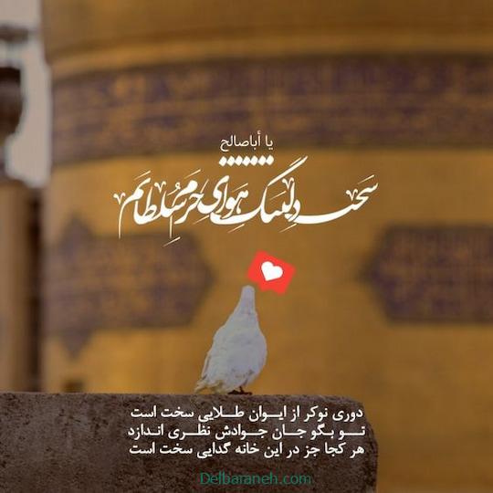سخت دلتنگ هوای حرم سلطانم
دوری نوکر از ایوان طلایی سخت است
توبگو جان جوادش،نظری اندازد
هرکجا،جز در این خانه،گدایی سخت است

#ایران_امام_رضا
#پناه_امن