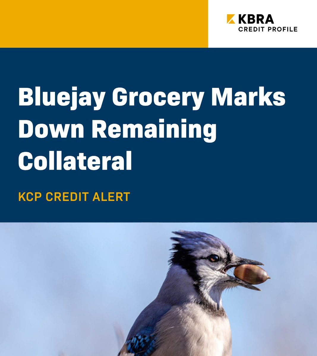 Updated appraisals reported in April valued the remaining collateral securing the $17.7 million Bluejay Grocery Portfolio loan (GSMS 2015-GC34) at an aggregate $14.5 million ($113/sf), down 35% from $22.4 million ($174/sf) at issuance and in line with KCP’s optimistic value. The
