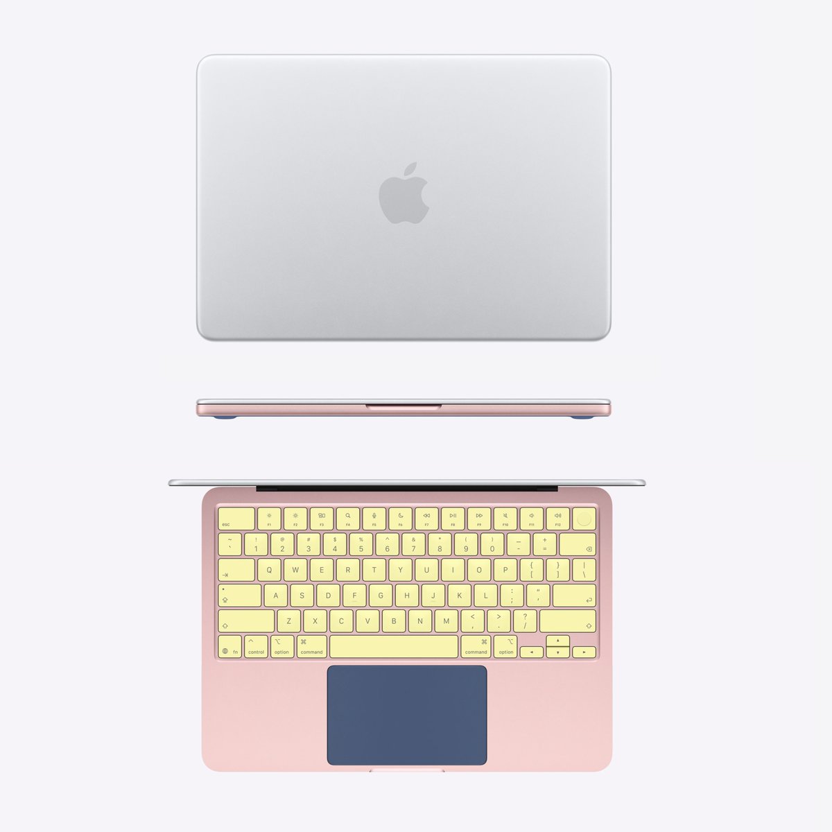 Basic Apple Guy tweet media