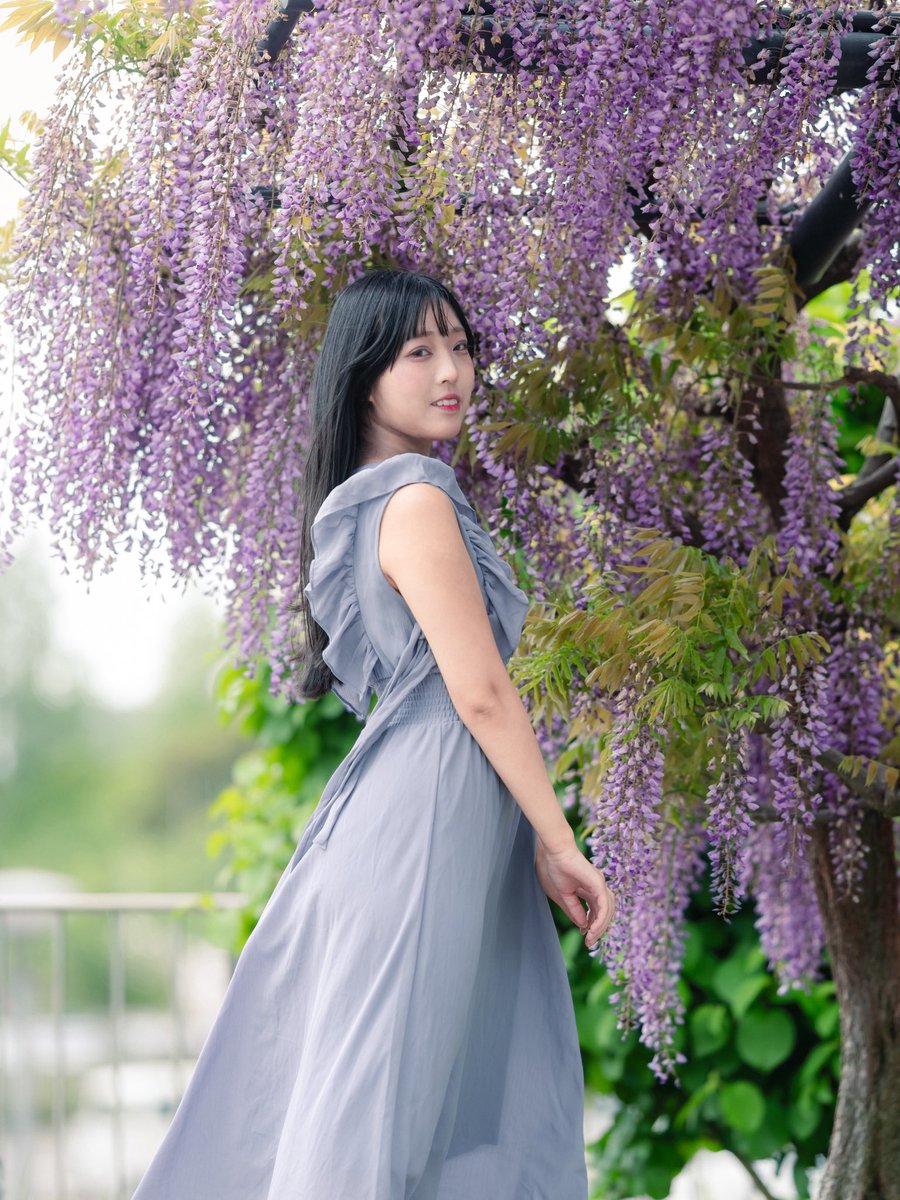 戸川 きみお@Kimio Togawa tweet media