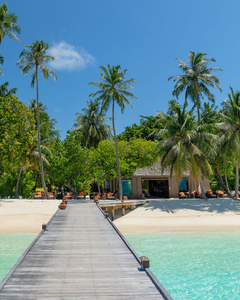 Meeru Maldives tweet media