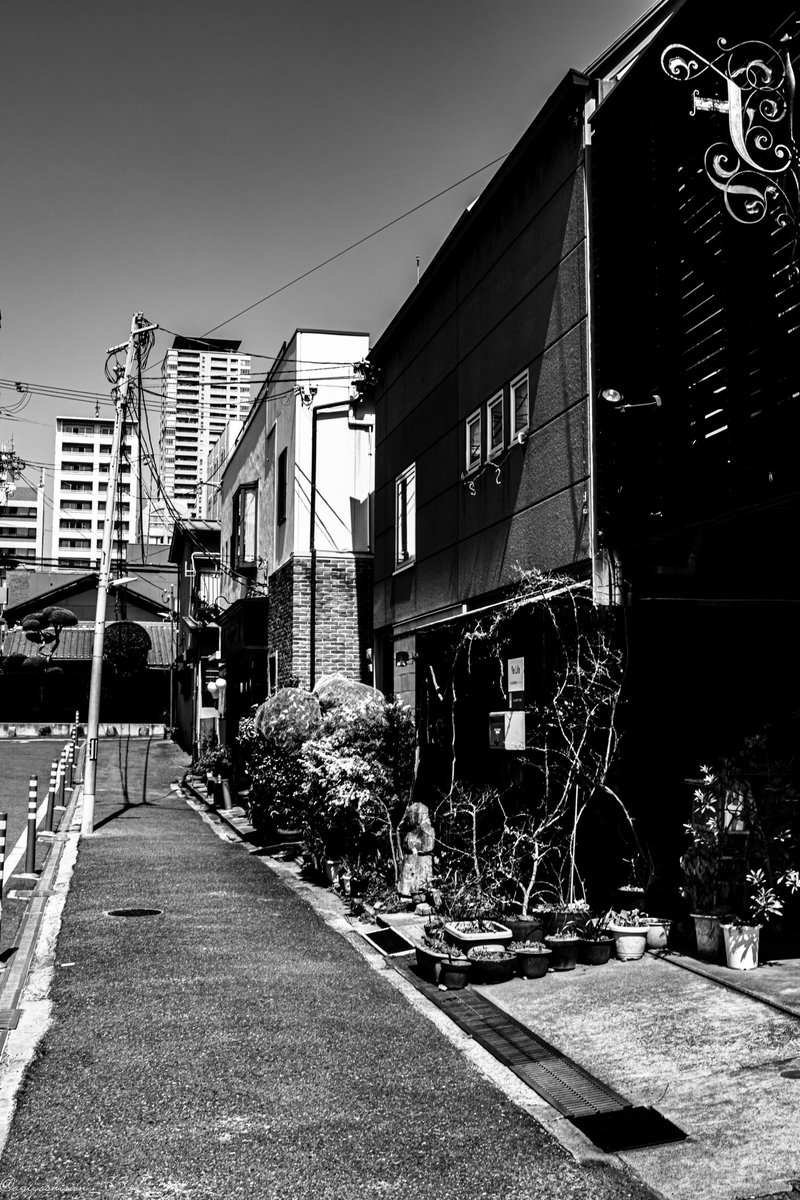 ogiyoshisan_352's tweet image. TANIROKU &amp;amp; KARAHORI area, Osaka 2603211⃣
2026年3月の谷六空堀
#MONOCHROME 
#みんなのスナップ写真展 
#2026osakastreet