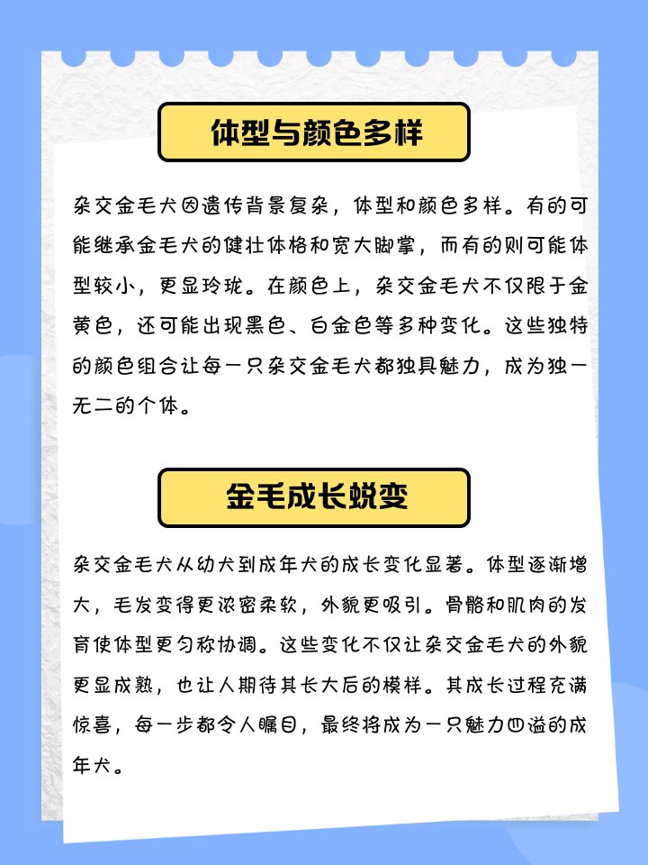 Kai-Ken on ETH (甲斐犬) tweet media