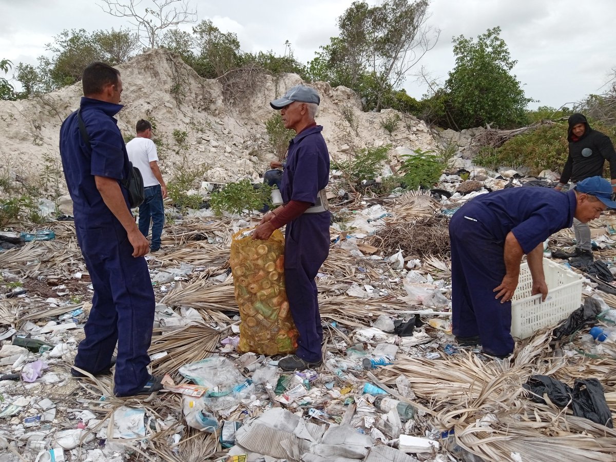 romanrl87's tweet photo. #Hoy, trabajadores de la UEB #Reciclaje #CayoCoco en labores de recuperación de #MateriasPrimas a través de la modalidad #CostoCero.
@cubarecicla @CavEmp @DCitmaCA @ERMP_CAV https://t.co/iHJOJ3oIrp