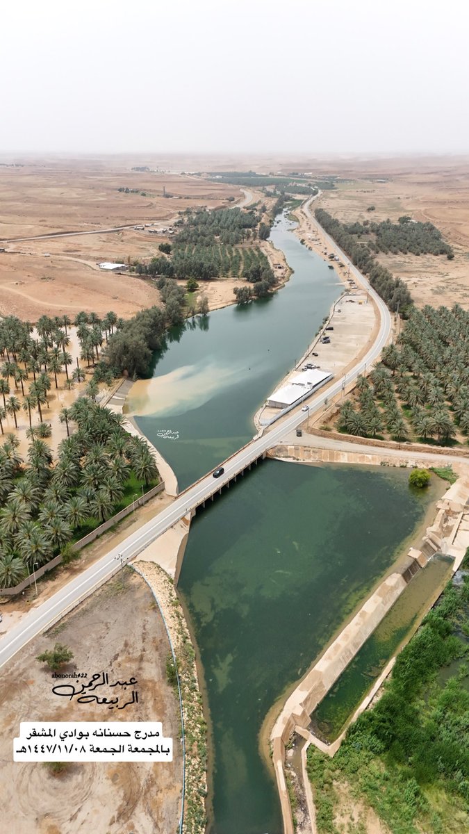 عبدالرحمن الربيعة tweet media