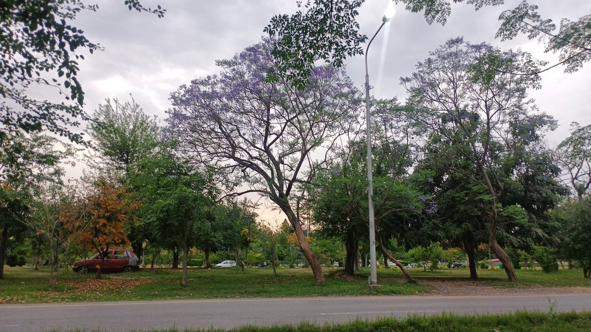 Azee🕷️ tweet media