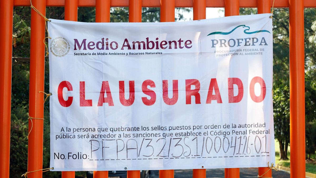 DardosMetepec tweet media