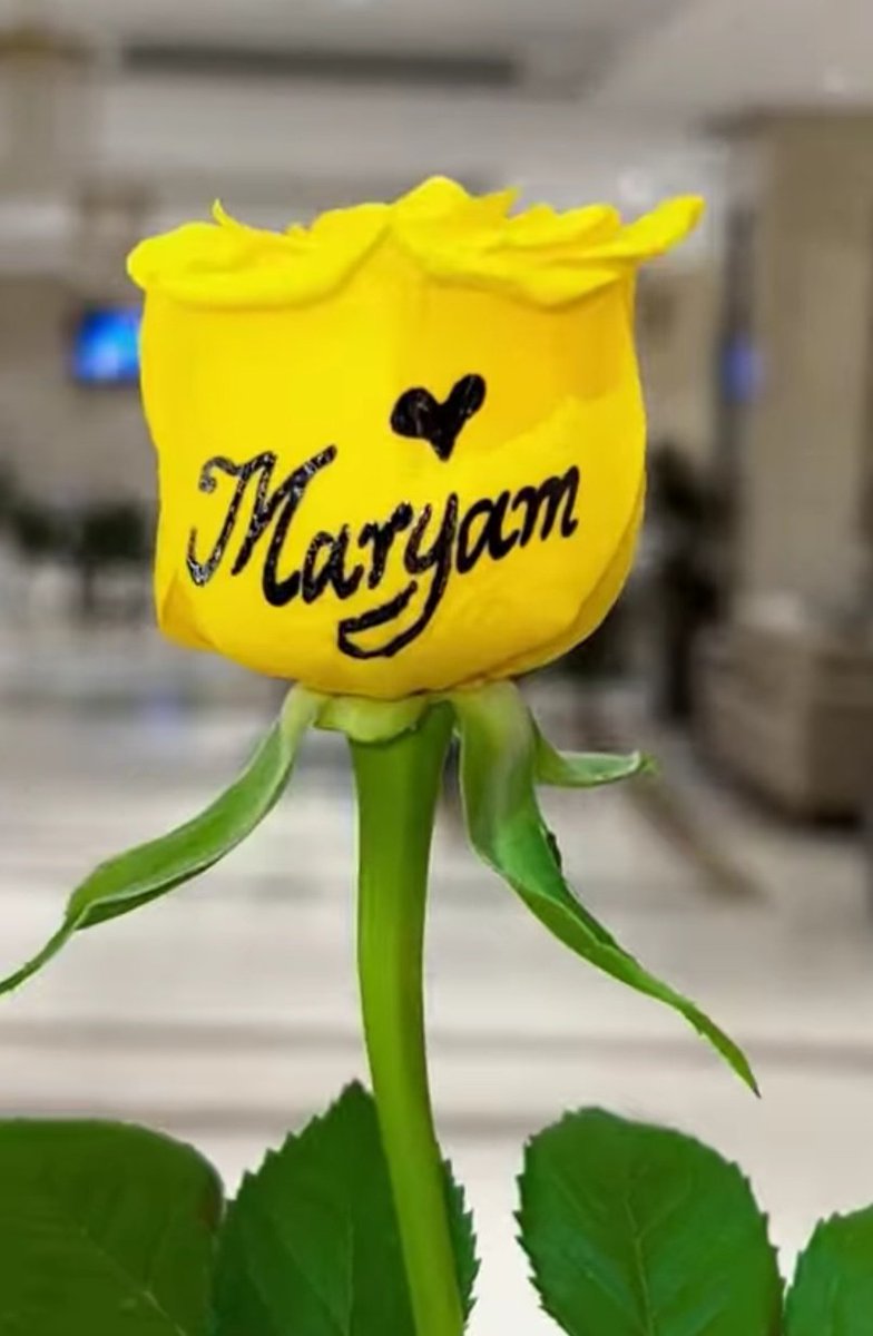 Dr.Mariam Alafeef tweet media