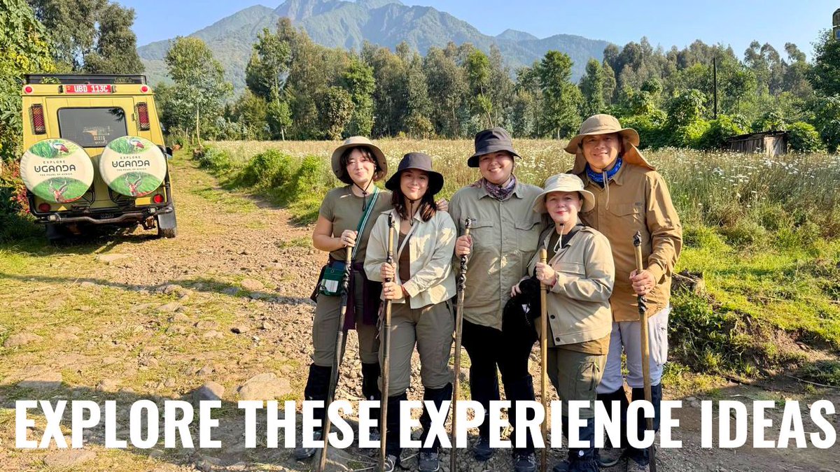 Bwindi Gorilla Trekking Safari Company tweet media