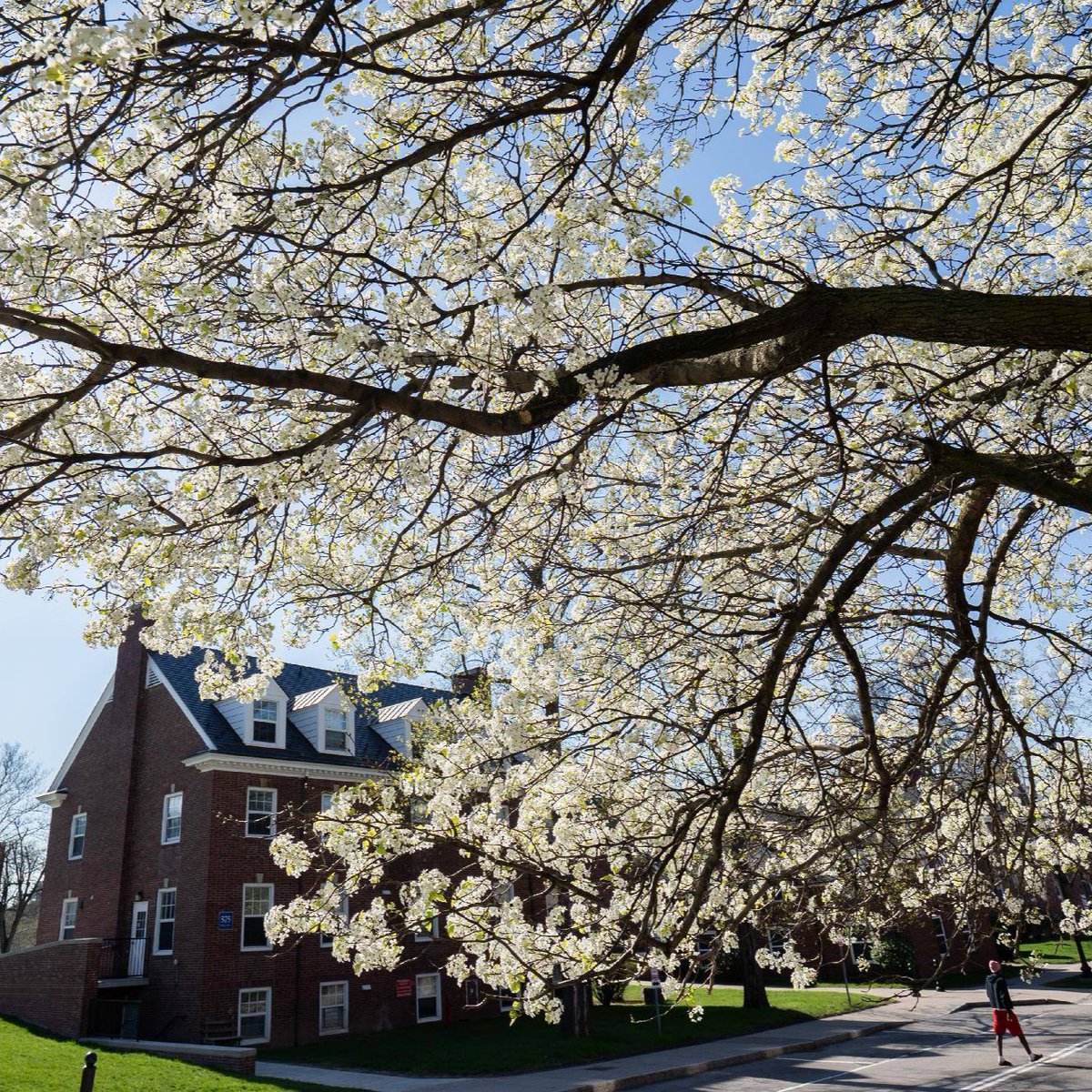 University of Rochester tweet media