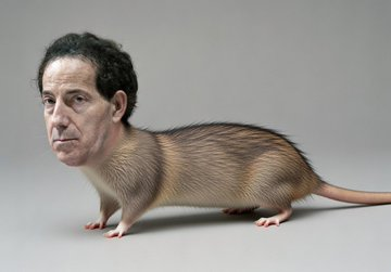 CheepTrick tweet media