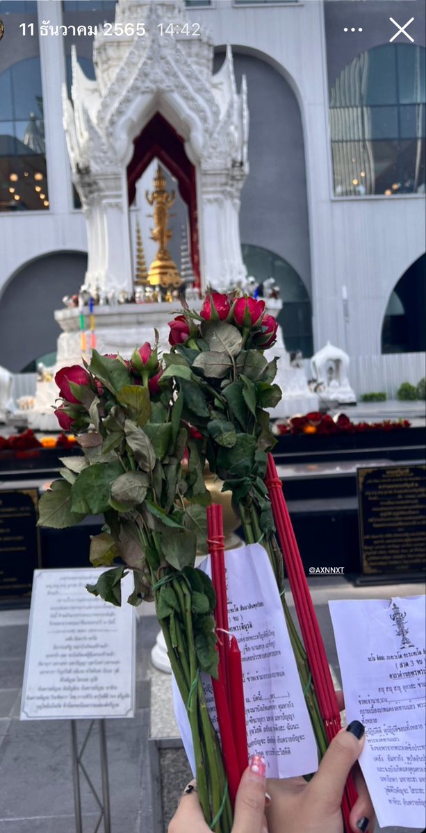 lll ปิ้วปิ้ว​ (มัมหมา) tweet media