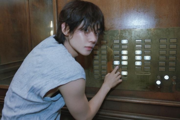 Woodsy Corner. tweet media