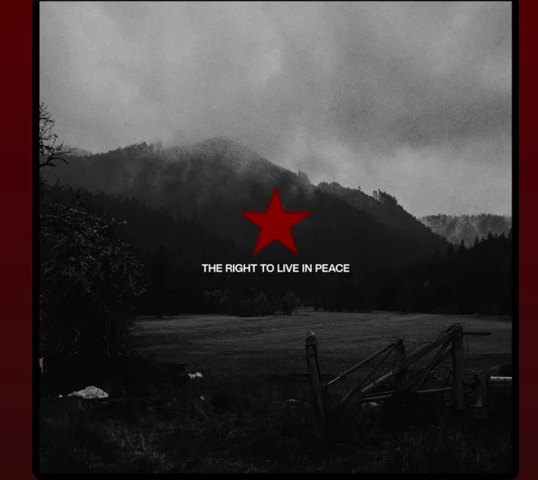 Just Ⓐ Fox 🏳️‍⚧️🏴 tweet media