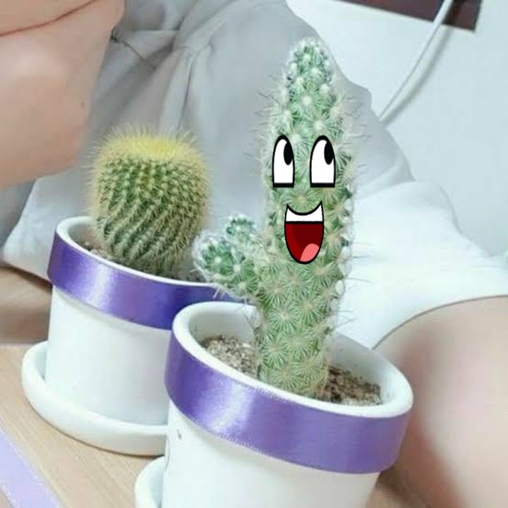 injangie tweet media