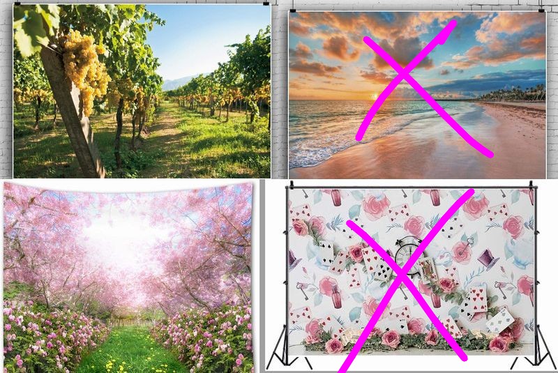 studio Edelstein(スタジオ エーデルシュタイン) tweet media