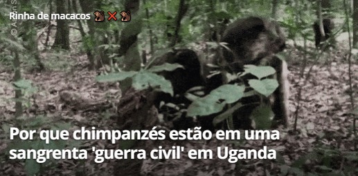 kwaires2002's tweet photo. Palmeirenses e flamenguistas discutindo arbitragem todos os dias https://t.co/7X0NSIIEXZ