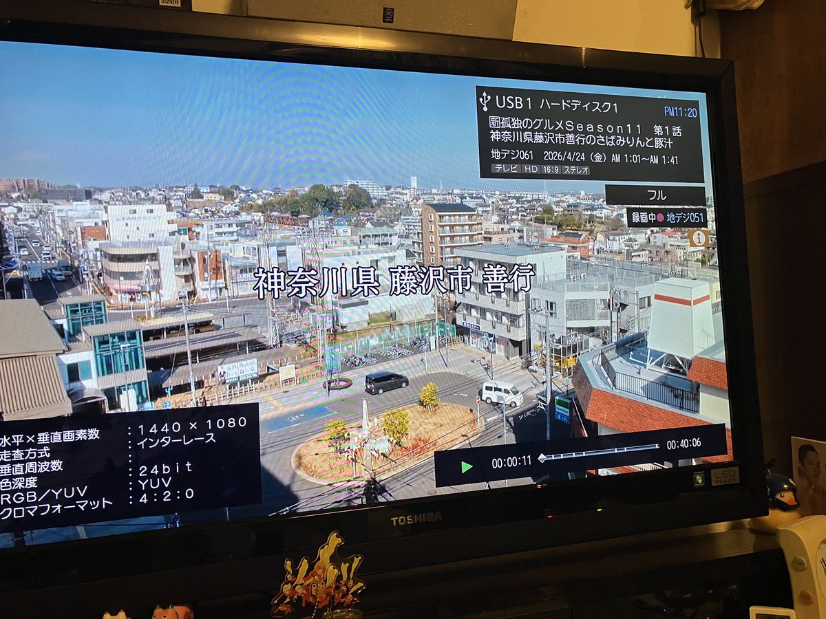 ベルタソ@NMLVの次は？ tweet media