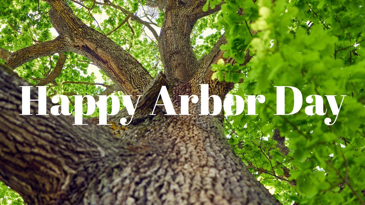 Plant Food Company tweet media