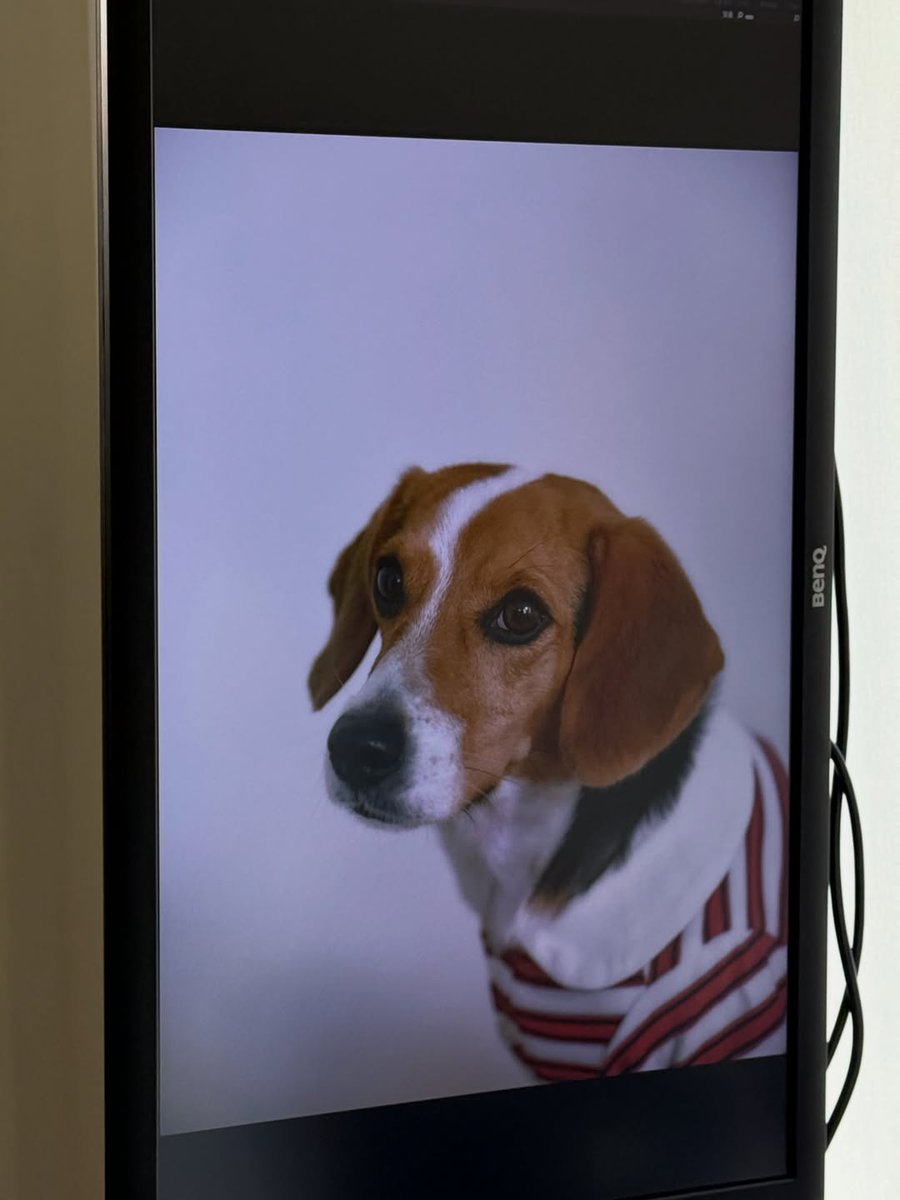 WeiShenV📸 tweet media