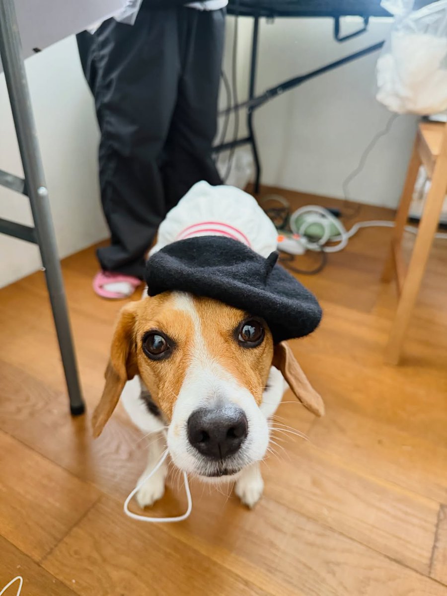 WeiShenV📸 tweet media