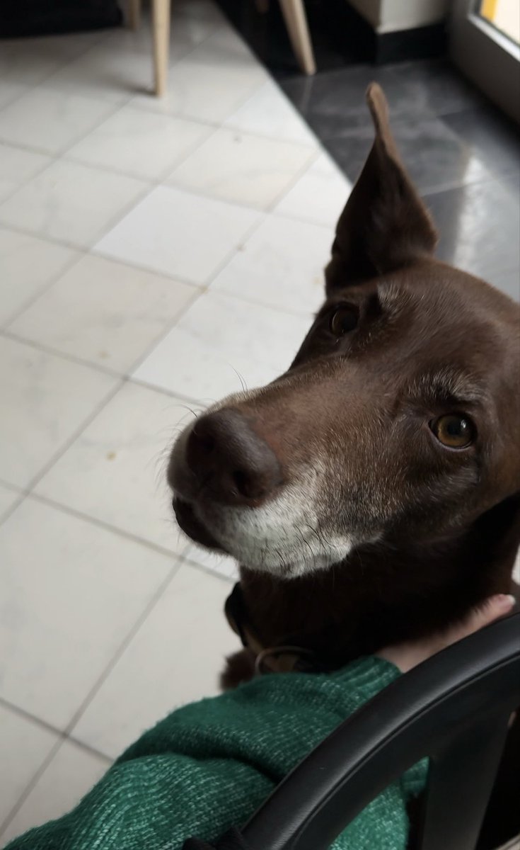 Rita (blkn/acc) tweet media