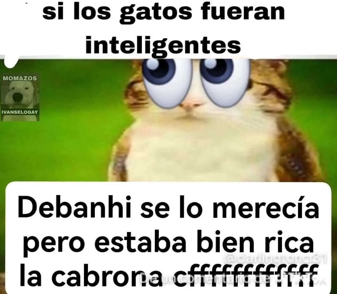 tocho final boss tweet media