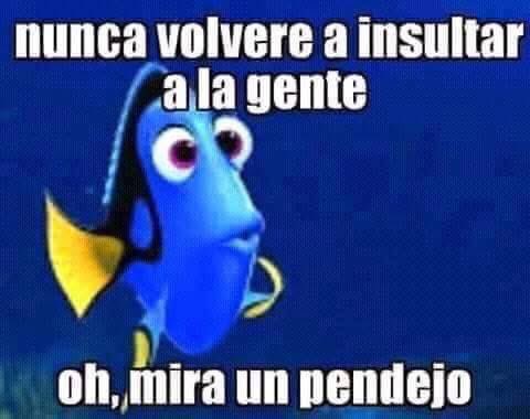 Raúl Macías tweet media