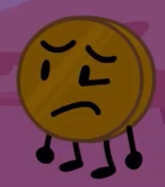 🌟~ Starfruit Cookie ~🌟 tweet media