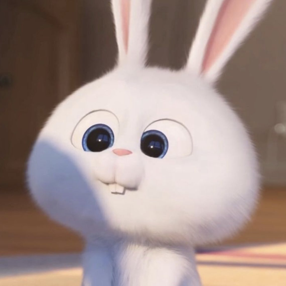 대군부인 채서안 볼 때마다 스노우볼 닮았다는 생각이 머릿 속을 떠나지 않음...