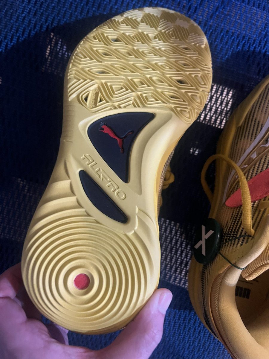 sizu620ページ お得意様特別価格 Jeffrey Sondheimer Birdwatcherhawk Po go trainer (@JSondheimer