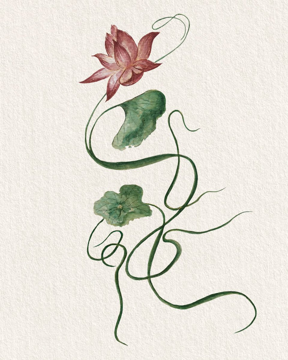 สวัสดีค่ะ เราโอเลี้ยง นะคะ 🫧🍄🦋🍃
ชอบวาดแมลง ดอกไม้ เห็ด เป็นหลัก มีความสนใจเกี่ยวกับ สี รูปทรง พื้นผิวของธรรมชาติ รวมถึงชอบทำงานคราฟท์ด้วย
แวะชมผลงานทางไอจีได้นะคะ
ขอบคุณสำหรับพื้นที่ค่าาา💚
instagram.com/oh_liangggg?ig…