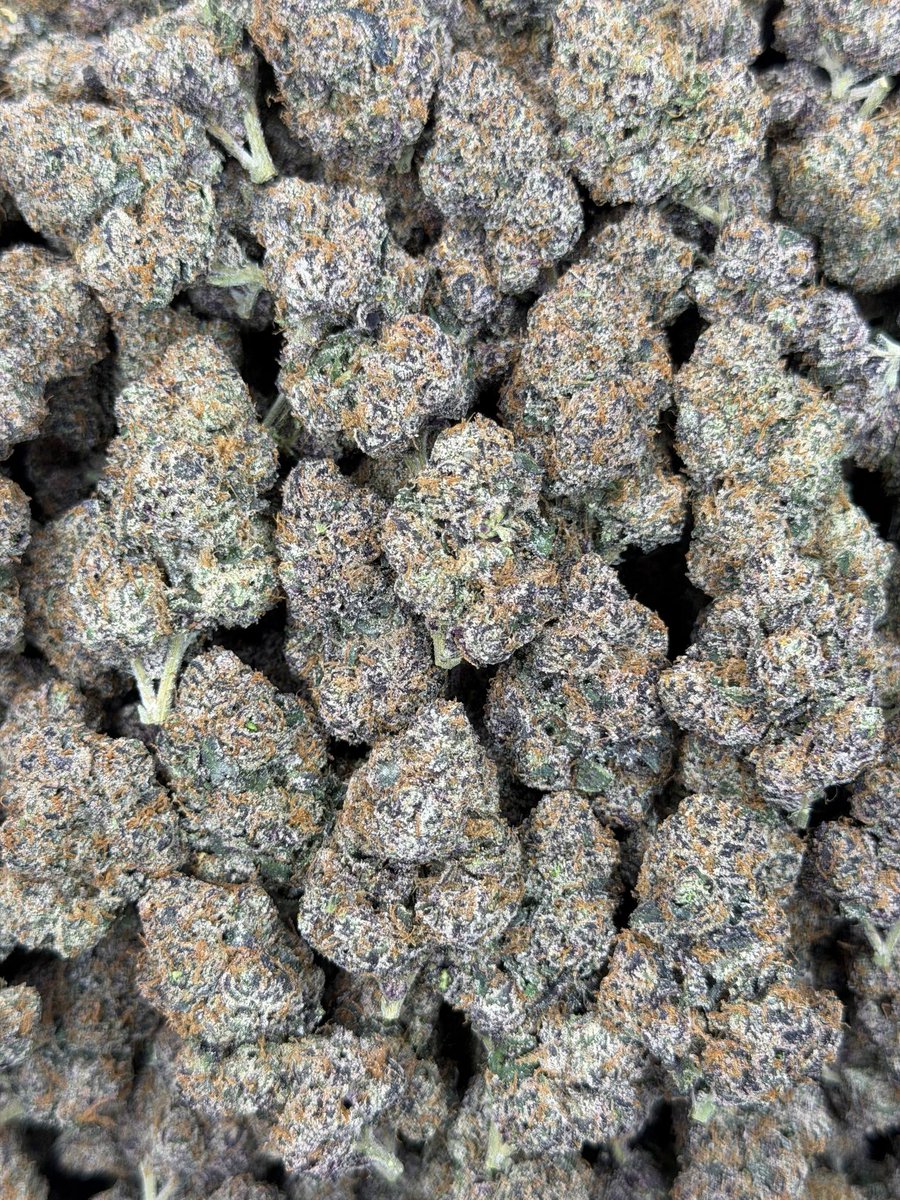 service_am42435's tweet photo. Houston  TX WEED PLUG  // EXOTIC ZA  
HTX/KATY  🎂 🦒
3.5/35 7/60 28/200
2zips/300 
QPS/475  HPS/875
#houstontexas #downtownhouston #weed #texas #houstonza #houstonzaza #houstonplug #plug #houstonmeets #houstonmeetups #htown #Mainst #htxweed #KatyTexas #katytx #htx #airport https://t.co/K75Q9Zm5s9