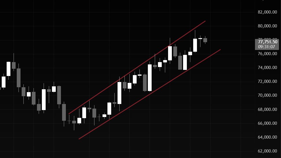 nichoxbt tweet media