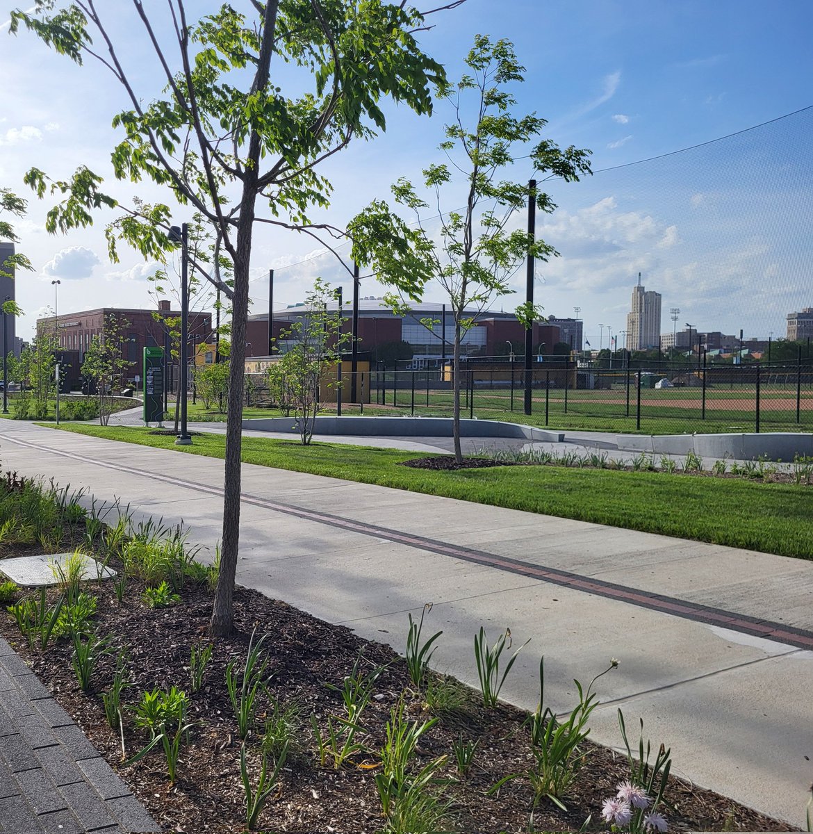 Timothy Jenkins tweet media