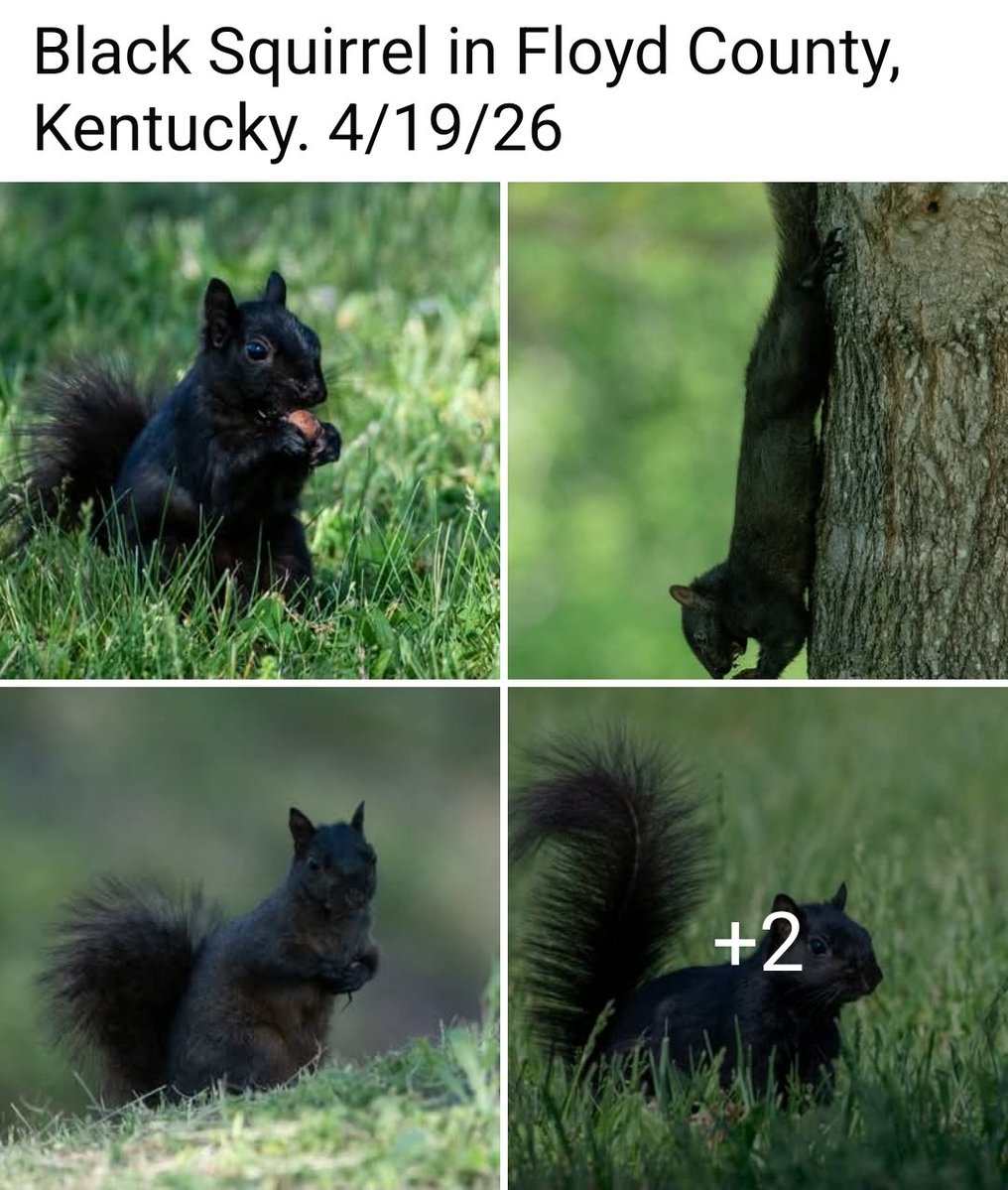 Angelia🤪 tweet media