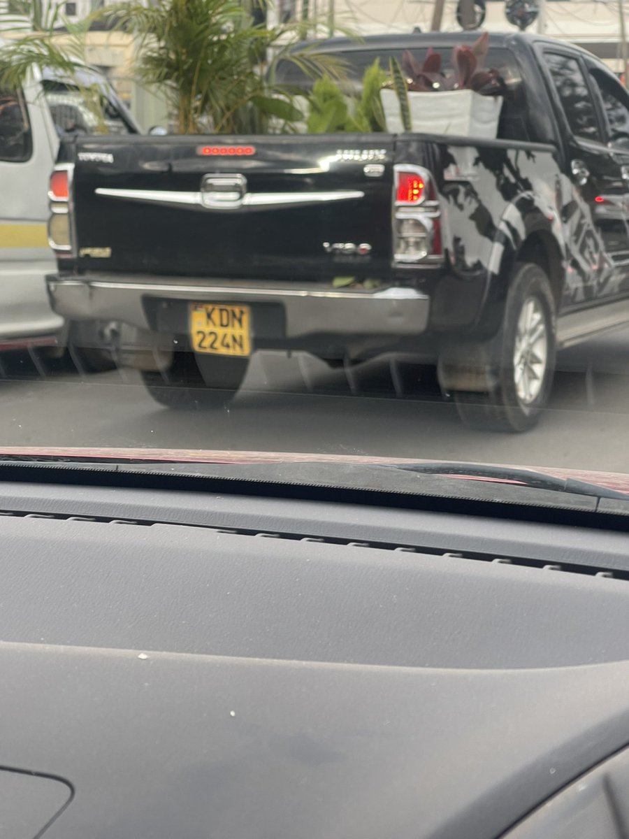 Iron Lady. (African Jacana) tweet media
