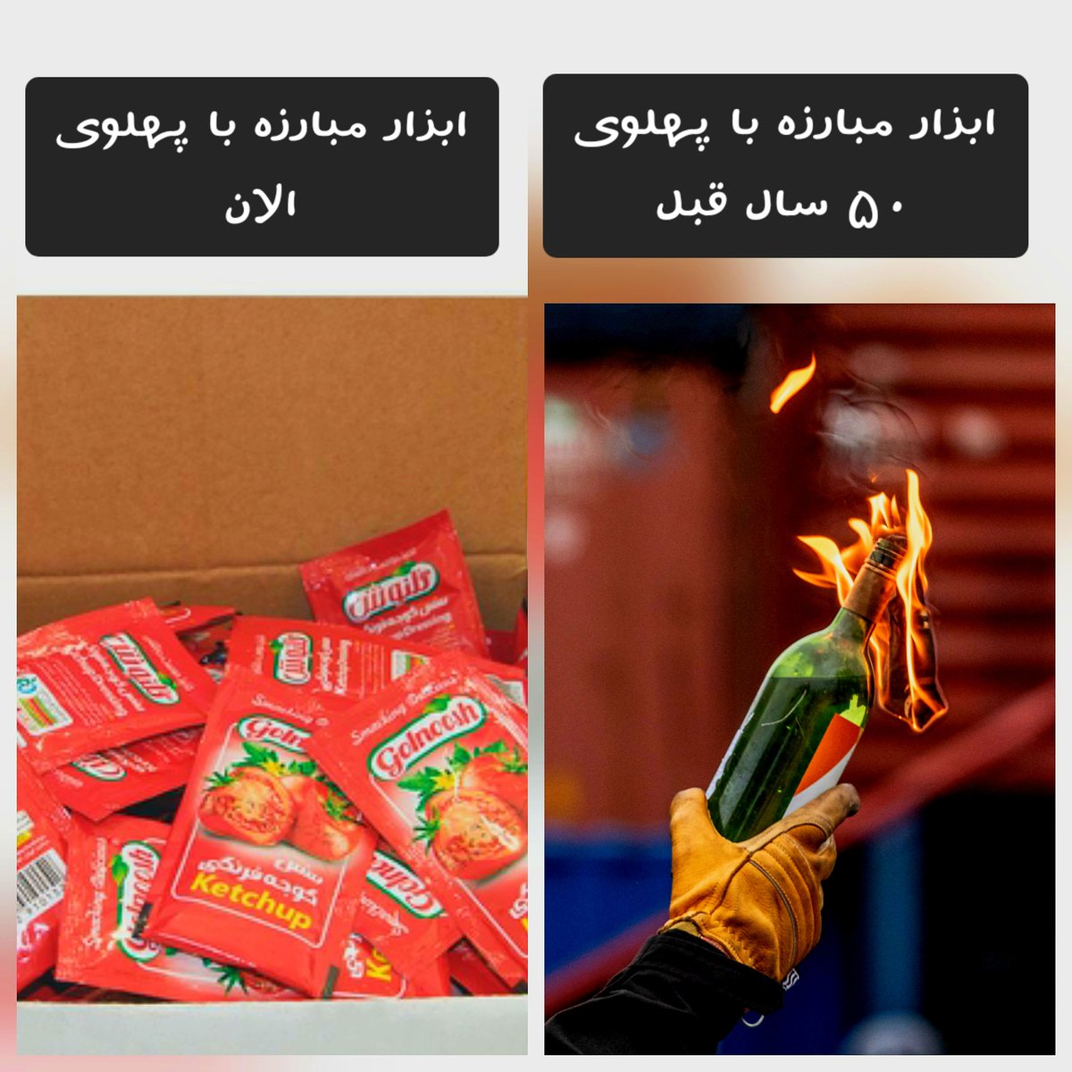 مجید توکلی tweet media