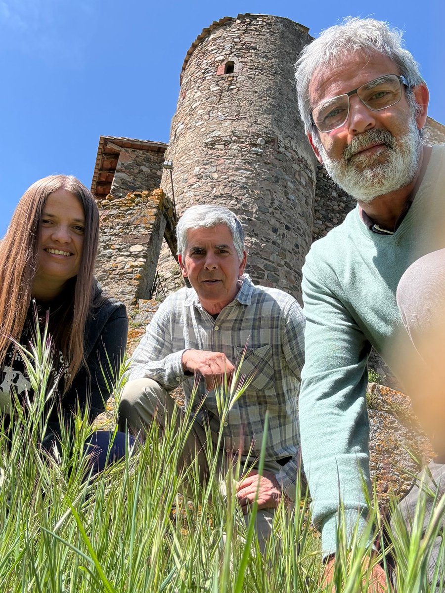 martamasies's tweet photo. Avui han vingut dos membres de l'Institut Català d'Ornitologia a veure la fauna que viu dins la Sala i al seu voltant, així com on podem posar caixes niu. Quan comencem les obres mirarem de fer tot el possible perquè hi puguin seguir vivint. Gent com ells fan país de debò. https://t.co/RaJiHue4ds