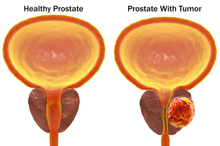 First Doctor tweet media