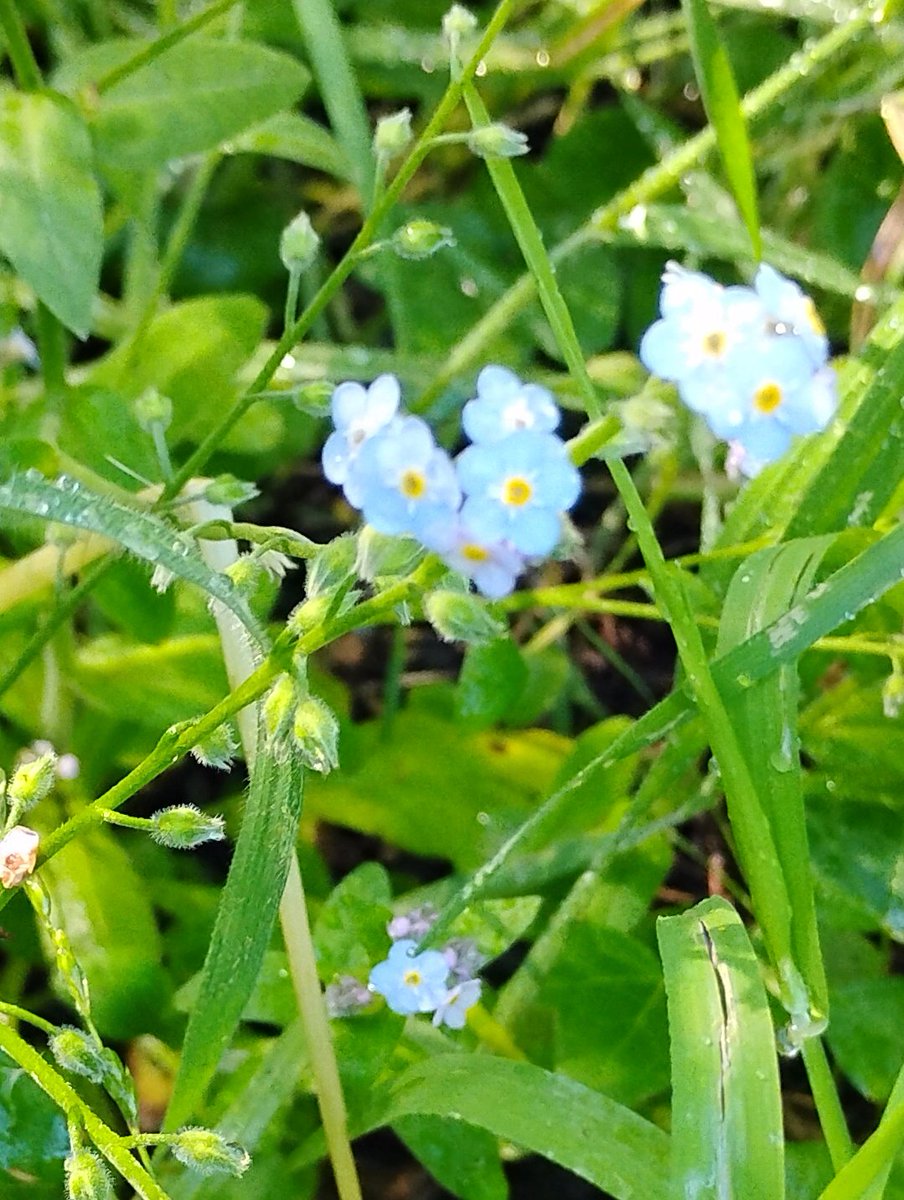 Heart Sleeve tweet media