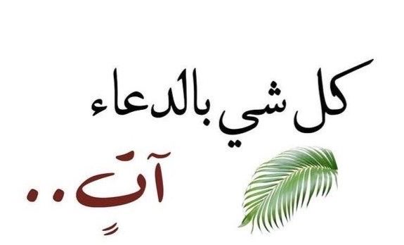عــآليىٌ مسسسسستوَﺎَهَـٰ ¹♩℘ tweet media