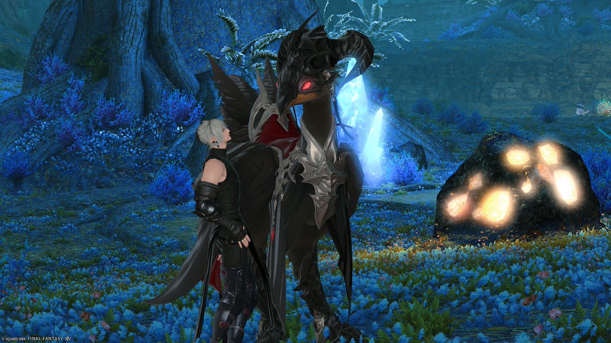 やっとはとがスートブラックになった
ハルさんからもらった野菜あげてランク12になったぞえ！