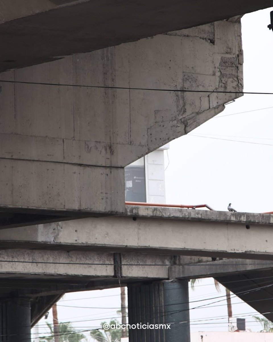 ABCNoticias.mx tweet media