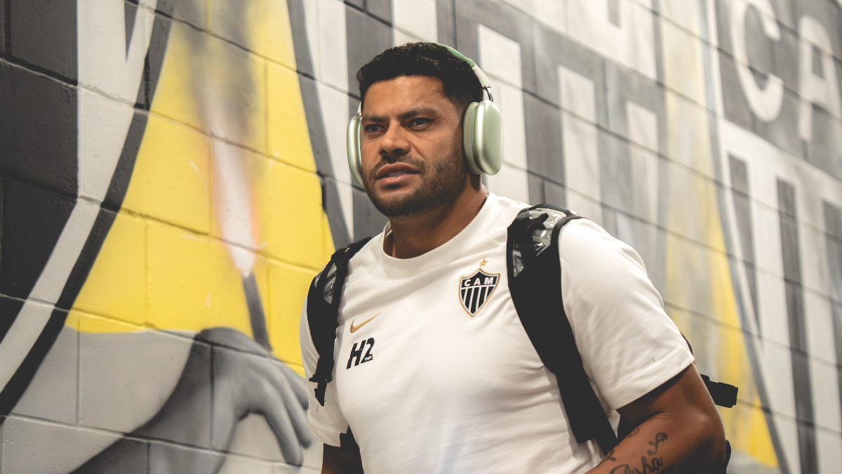 Marco Geves | BICA GALO tweet media