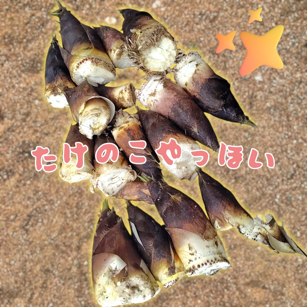 🍠サブ垢🍳たまさつべいびー(ﾎﾝﾓﾉ) tweet media