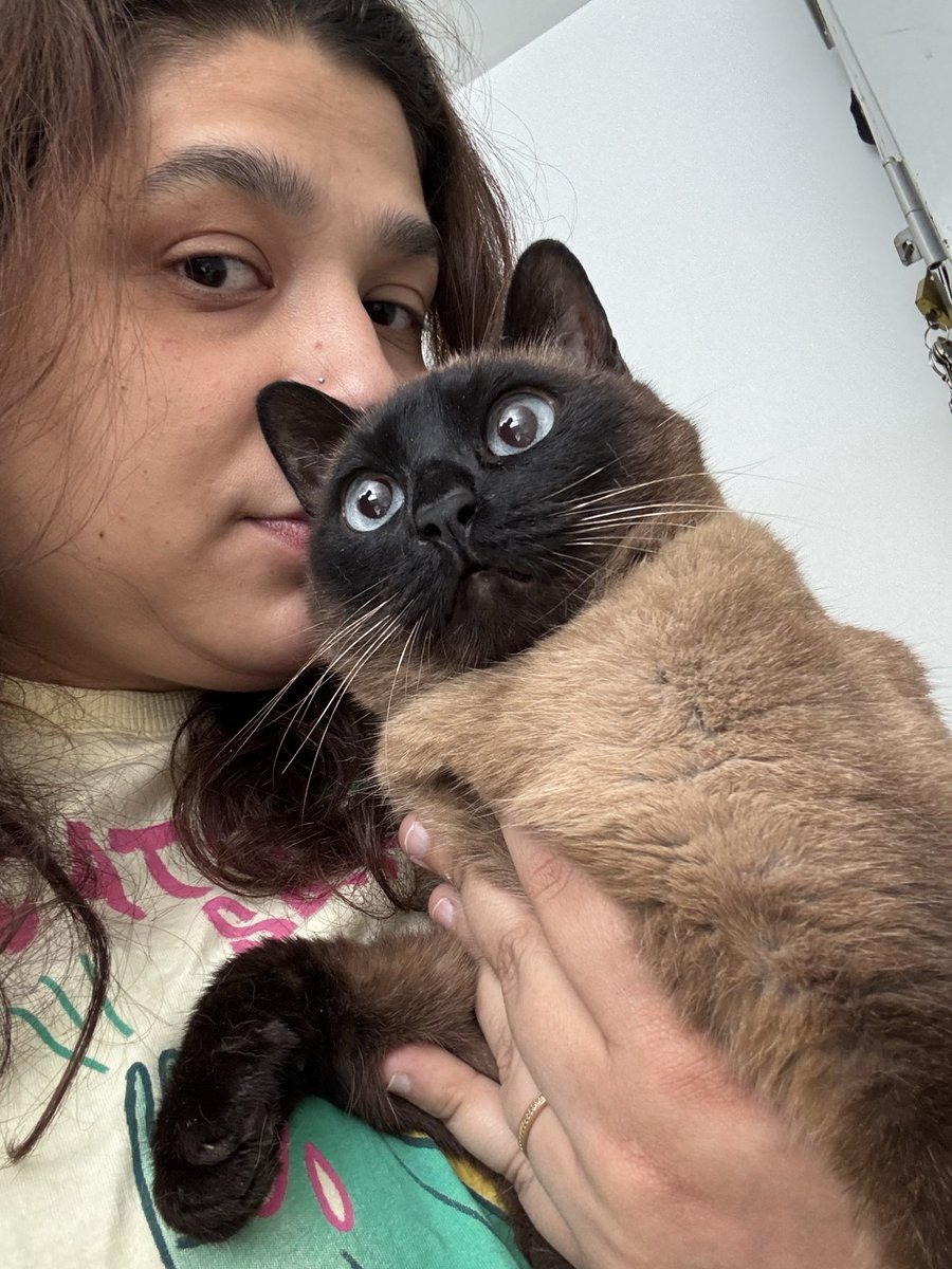 Mais uma atriz da novela felina: 
“PAROU DE COMER DO NADA.
Diagnóstico: O TUTOR VIAJOU” 

(ela comeu um monte comigo mas so se eu ficasse fazendo carinho e conversando 🤡)
