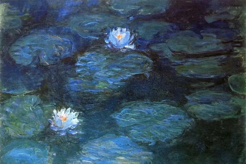 sandra barbosa tweet media