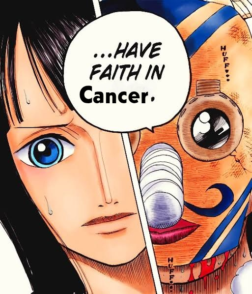 Daily One Piece (@onepiecexdaily) on Twitter photo 